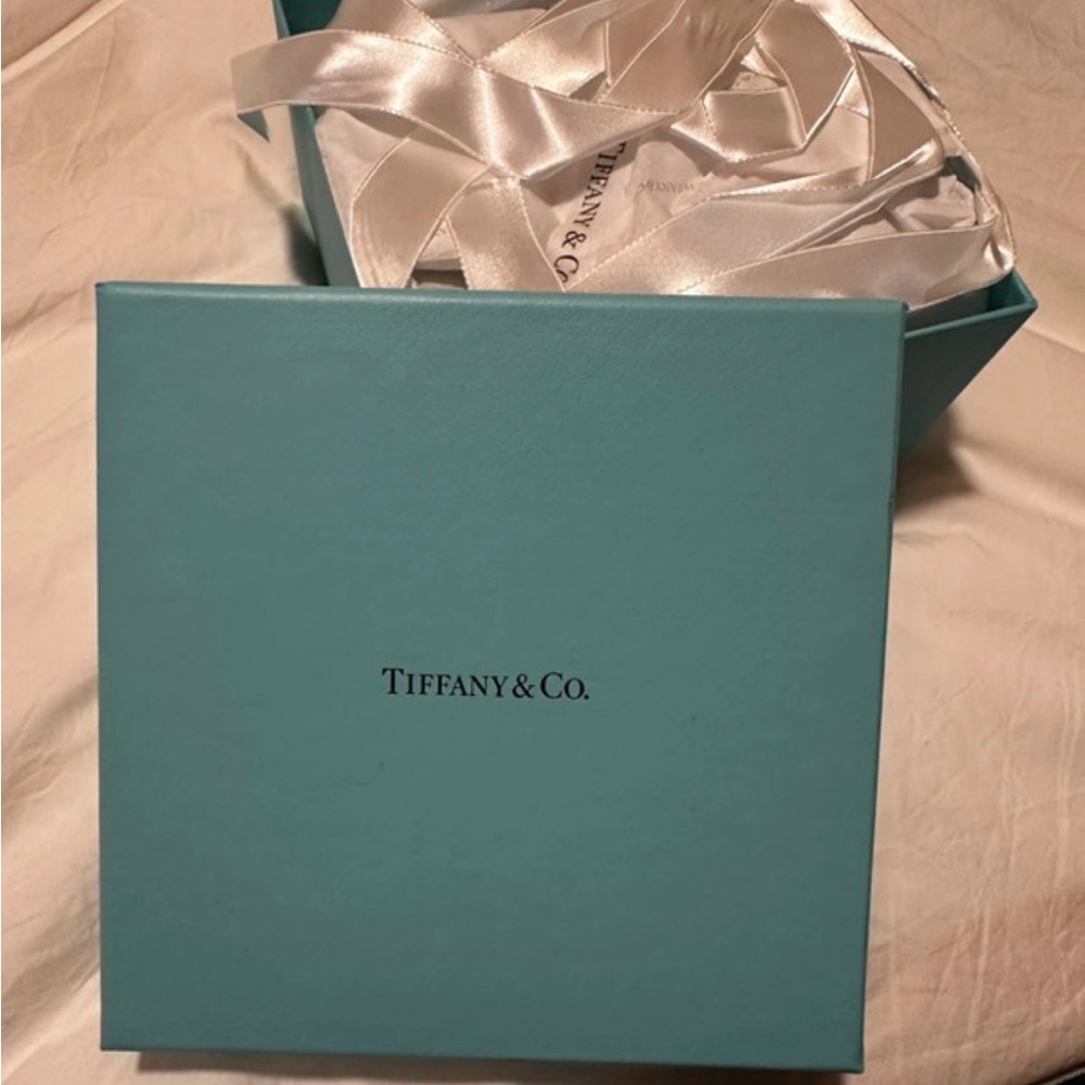 Tiffany & Co crystal apple decor new in box